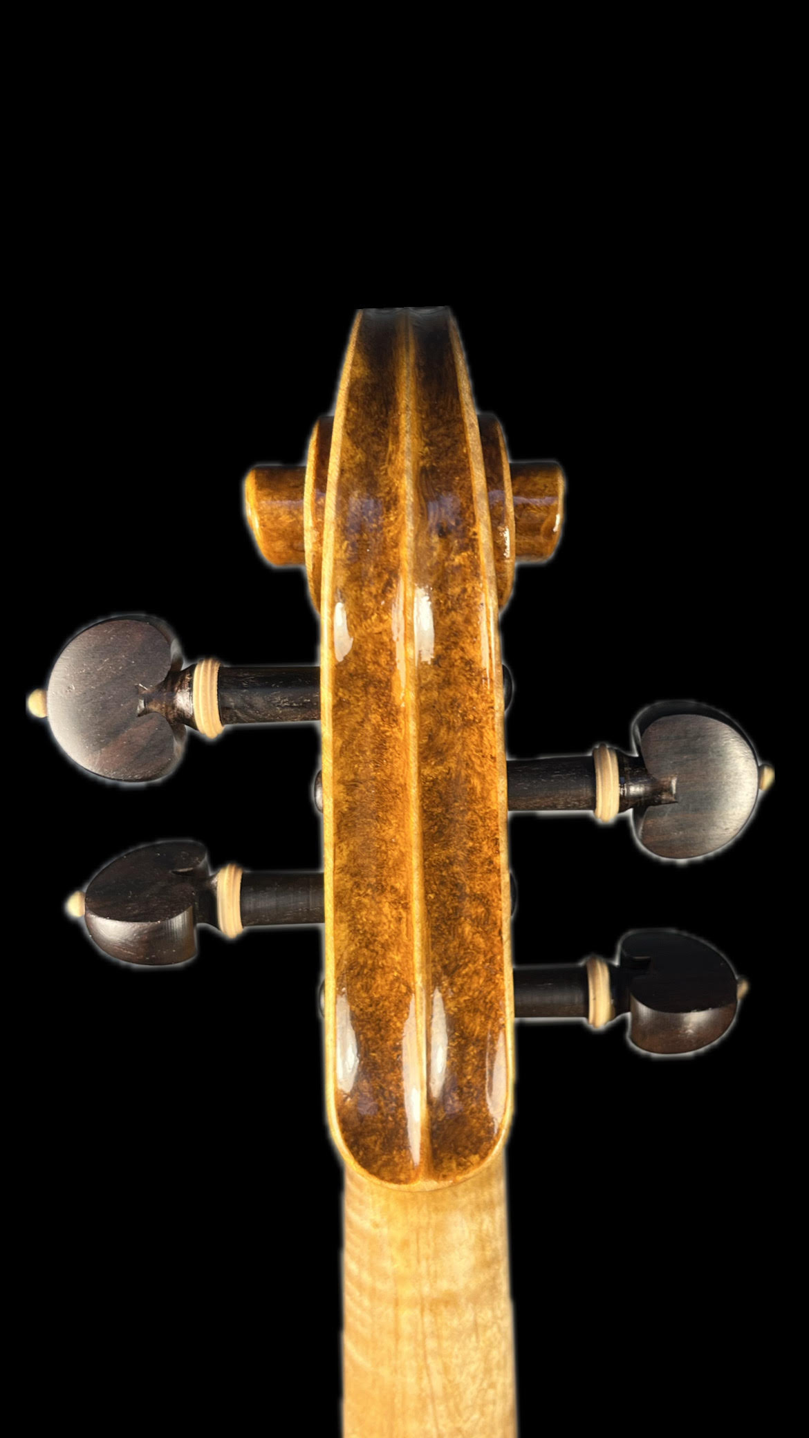 Viola Rutar Viola Vélos – Irene Ortugnò Luthier